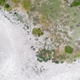 A real-life crested tern colony. Image: Jarrod Hodgson